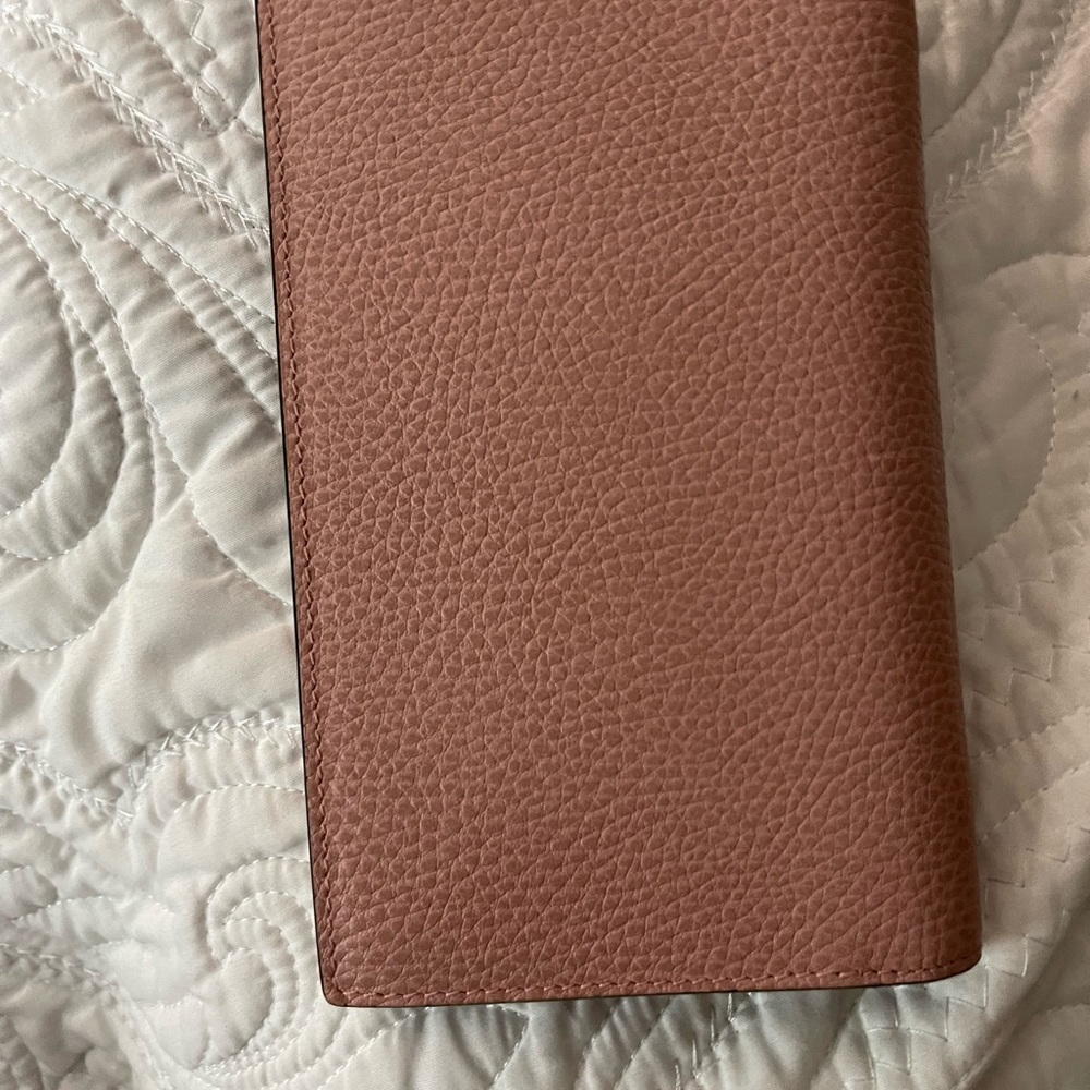 Gucci Cross body wallet with detachable chain.